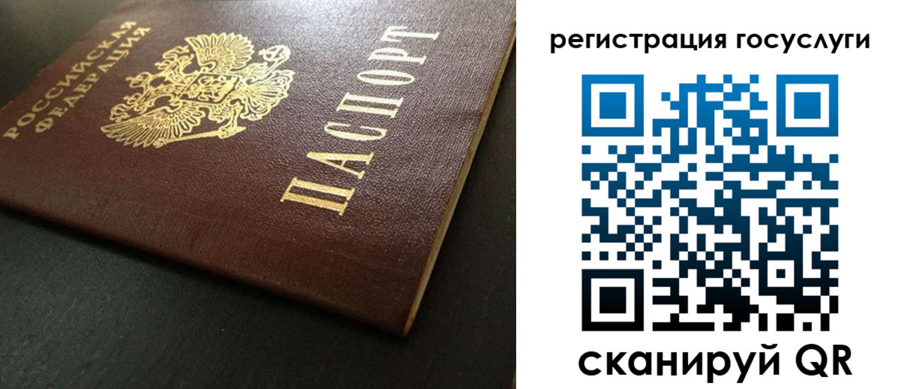 прописка гарантия в Жуковском